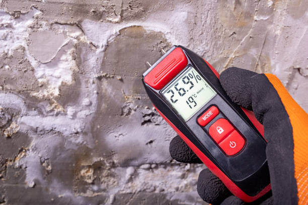 Bessemer, AL Mold Removal Company